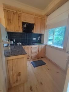 une cuisine avec des armoires en bois et un comptoir dans l'établissement Nerve Cottage Homestay Bhowali, à Bhowāli