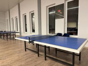 Borðtennisaðstaða á Hotel Demokracia eða í nágrenninu