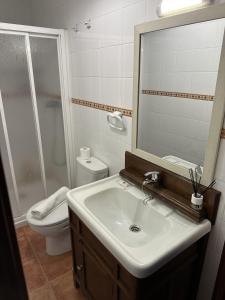 un bagno con lavandino, WC e specchio di Casa da Horta a Ribeira Altre 22 foto