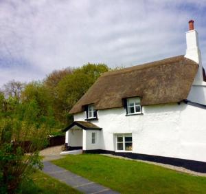 a white house with a thatched roof at Cosy and unique Thatched Cottage on Dartmoor in Bridford