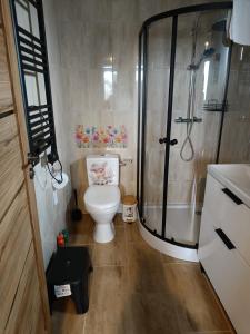 a small bathroom with a toilet and a shower at Domek Raszówka in Kamienna Góra +76 photos