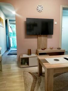 TV/trung tâm giải trí tại Apartman SIMONA