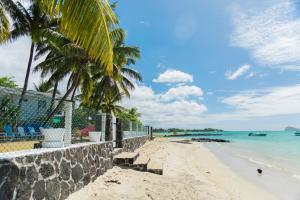 a sandy beach with palm trees and the ocean at Quaint 2BDR beach apartment in a fishing village in Grand Gaube +37 photos