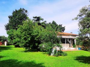 Κήπος έξω από το Versillia Olive Residence