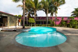 ein großer blauer Swimmingpool in einem Garten mit Palmen in der Unterkunft Hotel Las Iglesias, Cholula in Cholula de Rivadavia