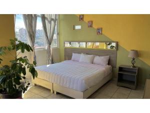 HuejotzingoOYO Hotel Museo Carnaval的一间带大床的卧室，带窗户