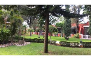 Zahrada ubytování Capital O Gran Hotel Campestre