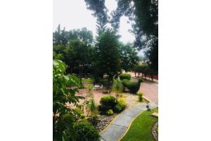 Zahrada ubytování Capital O Gran Hotel Campestre