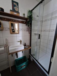 un baño con lavabo y ducha en Touch of history apartment, en Bratislava 25 fotos más