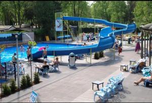 a pool with a blue slide in a park at El Bohemia Veluwe rust, natuur & zwembad voor kids in Hoenderloo