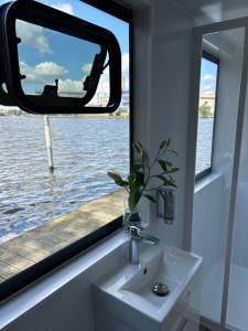 船屋周边自然景观