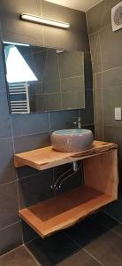 a bathroom with a sink and a mirror at Dome with Epic Fjord Views in Puerto Natales