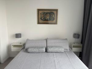 a bed with two pillows and a picture on the wall at Tigre High View Luxury views in Tigre