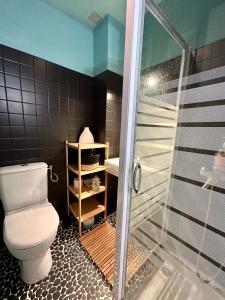 a bathroom with a toilet and a shower at La maison des écoliers in Deauville