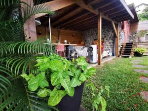 Billede fra billedgalleriet på Villa Turtle tropicale - private pool i Saint-Paul