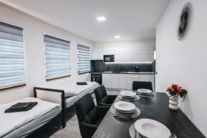 Televisyen dan/atau pusat hiburan di Apartmány U Doskočilů