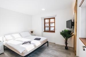 Katil atau katil-katil dalam bilik di Apartmány U Doskočilů