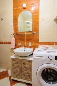a bathroom with a washing machine and a sink at Alacaster G apartman FREE PARKING in Novi Sad +75 photos