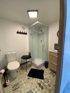 a bathroom with a shower and a toilet and a sink at La Risloise in Pont-Audemer +17 photos