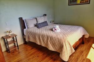 Foto de la galería de Alma Luna Villa Arenal en Monterrey