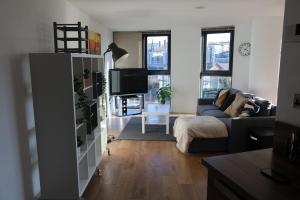 ein Wohnzimmer mit Sofa und Fernseher in der Unterkunft Opulent Apartment City Centre in Sheffield