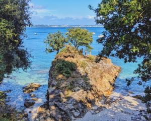 a rock in the water with trees on it at Fouesnant Beg Meil, duplex au coeur du village, à 450 m de la plage in Beg-Meil