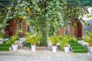 Zahrada ubytování Linh Dan Bungalow