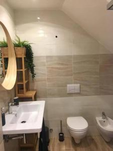une salle de bain avec un lavabo, des toilettes et un miroir dans l'établissement Riomaggiore-lovely and modern apartment, free WIFI, à Riomaggiore
