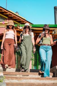 three women walking down the stairs with their cell phones at Casa de Campo Kagua Kolke 6Pax By Inside in Tupungato +10 photos