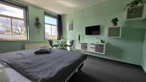 Sjónvarps- og/eða afþreyingartæki á Harz Hostel