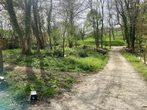 a dirt road in a field with trees and grass at Appartement T2 44m2 in Saint-Lys