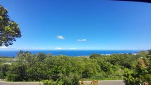 a view of the ocean from a house at Cannelle, T2 Cosy Vue Mer à Mont Vert Les Bas in Saint-Pierre