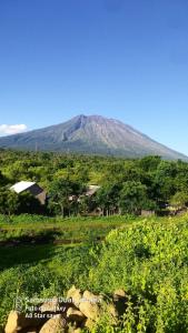 Příroda nedaleko penzionu