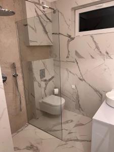 a bathroom with a toilet and a glass shower at Kameralna Domki in Bystrzyca Nowa