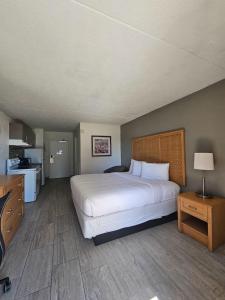 a bedroom with a large white bed and a kitchen at Southern Breeze Ocean Front Hotel in Myrtle Beach +97 photos