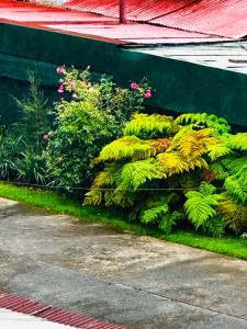 Afbeelding uit fotogalerij van Moderno y equipado departamento in Osorno