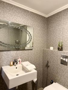 a bathroom with a sink and a mirror and a toilet at Olive A Heritage 2Bedroom Apartment in Mar Mikhael in Beirut