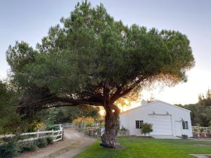 Κήπος έξω από το The Ranchette at Los Berros