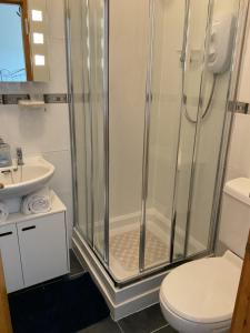 a bathroom with a shower and a toilet and a sink at The Old Smiddy Cottage and Apartment in Balloch +38 photos