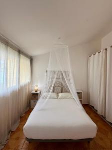a bedroom with a bed with mosquito nets on it at T2 vue mer avec accès direct lagon et 5 min plage in Sainte-Anne +33 photos