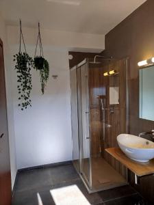 Koupelna v ubytování B&B Bosco Ralle - comfort e natura