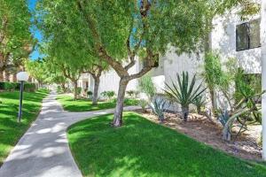 a tree in a yard next to a building at Palm Canyon Villas Escape in Palm Springs