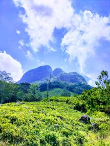 a green field with mountains in the background at Dumbara Breeze in Hunnasgiriya +45 photos