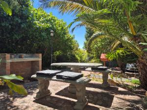 2 bancos de piedra en un jardín con una palmera en Mistys Studio Durbanville, en Durbanville 11 fotos más