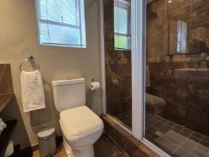 un baño con inodoro y ducha en Mistys Studio Durbanville, en Durbanville
