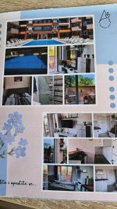een collage van foto's van aartmentvenant bij Aida in Veliko Gradište
