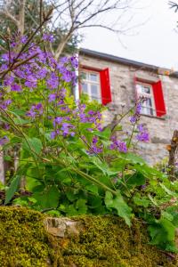 Zahrada ubytování Shamrock Elati Retreats