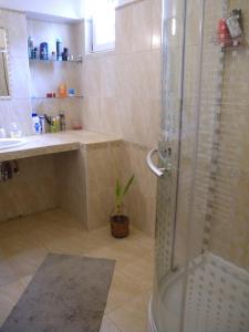 a bathroom with a shower and a sink at Three-Bedroom Apartment in Balatonlelle I in Balatonlelle