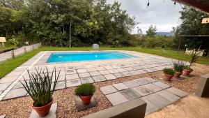 Champagne ValleyにあるDrakensberg Inkosana Lodgeの鉢植えの庭のスイミングプール