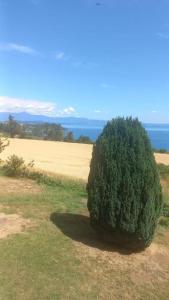 Peisaj natural din apropierea acestui apartament